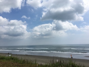 IMG_3355.JPG
