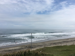 IMG_3536.JPG