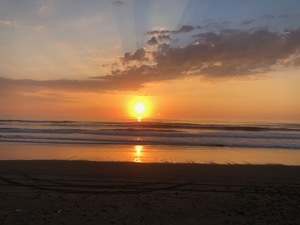 IMG_6189.jpg
