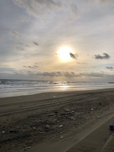 IMG_6481.jpg