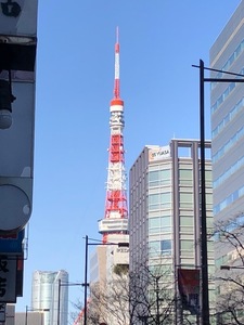 IMG_6818.jpg