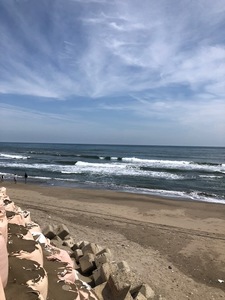 IMG_7085.jpg