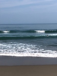IMG_7257.jpg